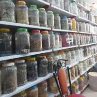 نیروی کار خانم