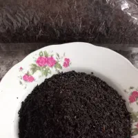 چای لاهیجان