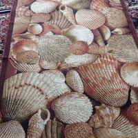 گلیم 3متری  نبوی منش