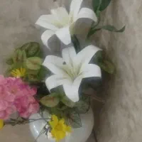 گل نونو|گل مصنوعی|بندر ماهشهر, |دیوار