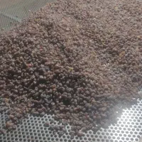 کشمش محلی درجه یک|خوردنی و آشامیدنی|دهگلان, |دیوار