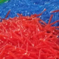 تولید نوشمک