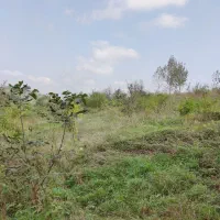 زمین قابل ساخت باانشعابات دربابلکنار|فروش دفتر صنعتی، کشاورزی، تجاری|مرزیکلا, |دیوار