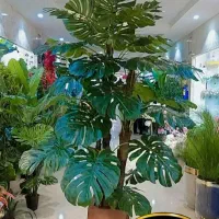 انواع درختچه و گل تزیینی و آویز|گل مصنوعی|ملایر, |دیوار