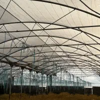 سازه گلخانه دست دوم در حد نو|ماشینآلات صنعتی|رباطکریم, الارد|دیوار