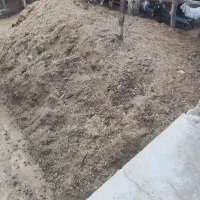 کود گوسفندی