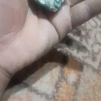 دفتر|کلکسیون و سرگرمی|کرمان, |دیوار