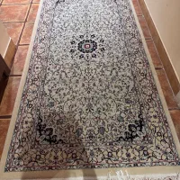 فرش مشهد ۱۲ متری بسیار تمیز|فرش|رشت, کاکتوس|دیوار