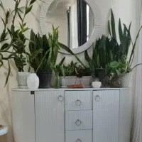 کنسول میر تلویزیون و جلو مبلی شرکتی|بوفه، ویترین، کنسول|اندیمشک, |دیوار