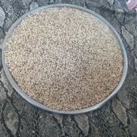 ماش|عمده‌فروشی|ارس, |دیوار