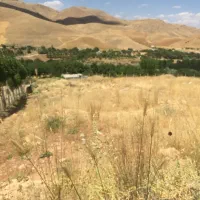 فروش-زمین-کشاورزی