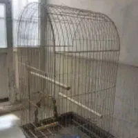سه عدد قفس عروس هلندی|لوازم جانبی حیوانات|اصفهان, شاهزید|دیوار
