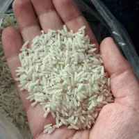 برنج درشت هاشمی درجه یک