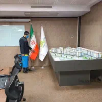 سمپاشی سوسک ریز کابینتی ودرشت فاضلابی|خدمات نظافت|کرمان, |دیوار