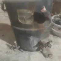 موتور پیستونی|کولر گازی و فن‌کوئل|مسجد سلیمان, |دیوار