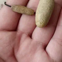 مهره|کلکسیون اشیاء عتیقه|کرمانشاه, |دیوار