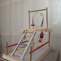 پارک بازی پرنده