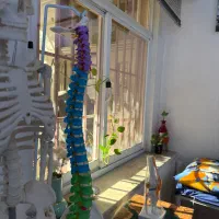 به یک منشی خانم جهت کار در پارا کلینیک نیاز  دارم