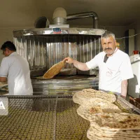 نیازمند شاطر آردی