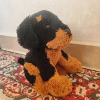 عروسک|اسباببازی بچه|صدرا-فارس, فاز ۱|دیوار