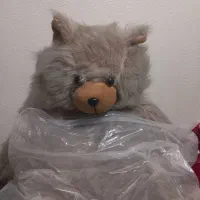 عروسک خرس شاسخین