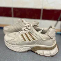 کفش سایز ۳۹