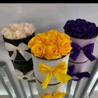 گل جاودان|صنایع دستی و سایر لوازم تزئینی|پاکدشت, پاکدشت (مامازند)|دیوار