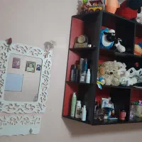 کتابخانه ی  دیواری