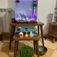 آکواریوم شیشه خم با تمامی امکانات