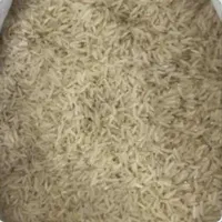 برنج پاکستانی بذرطارم گرگان