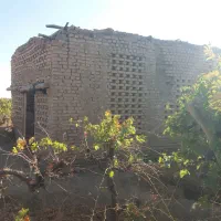 باغ انگوری ملکی ۱۰۰۰ متری روستای مغان