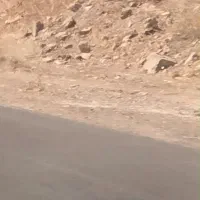 زمین تجاری