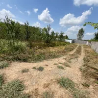 زمین-باغی-داری-درخت