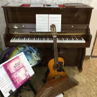 آموزش تخصصی پیانو گیتار هنگدرام سنتور ارگ|خدمات آموزشی|کرج, برغان|دیوار