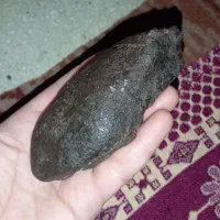 سنگ های مغناطیسی.