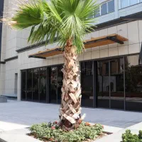 کلنگی-210-متر-اقدسیه-دارای-2-طبقه-بنا-قابل-سکونت