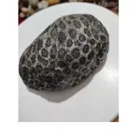 مرجان فروشی