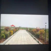باغ