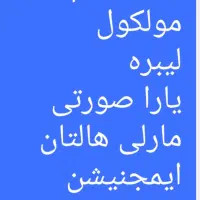 عطر و بادی اسپلش