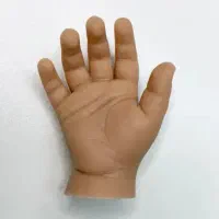 ماکت دست و پا