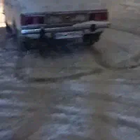 پیکانپژویی