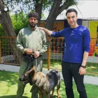 مربی سگ|خدمات آموزشی|کرج, گلشهر|دیوار