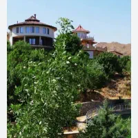 زمین باغ ویلا|فروش زمین و ملک کلنگی|نیر (یزد), |دیوار