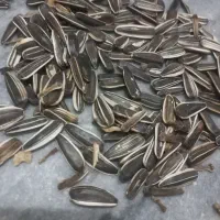 تخمه دور سفید طرح چینی|عمده‌فروشی|تاکستان, |دیوار