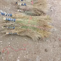 جارو شهرداری|لوازم نظافت|آبگرم, |دیوار