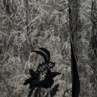 مانتوسایز۵۲مجلسی