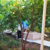 فروش خونه ویلایی جنوبی ۱۶۰