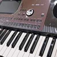 ارگ pa700