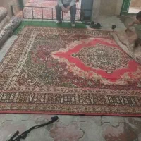 فرش ۱۲متری  ۹ متری ۶ متری|فرش|پاکدشت, پاکدشت (مامازند)|دیوار