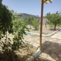 دو قطعه باغ ابتدای شاهنامه شاهنامه ۱۴ نزدیک مشهد|فروش خانه و ویلا|مشهد, باغستان|دیوار